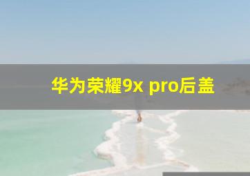 华为荣耀9x pro后盖